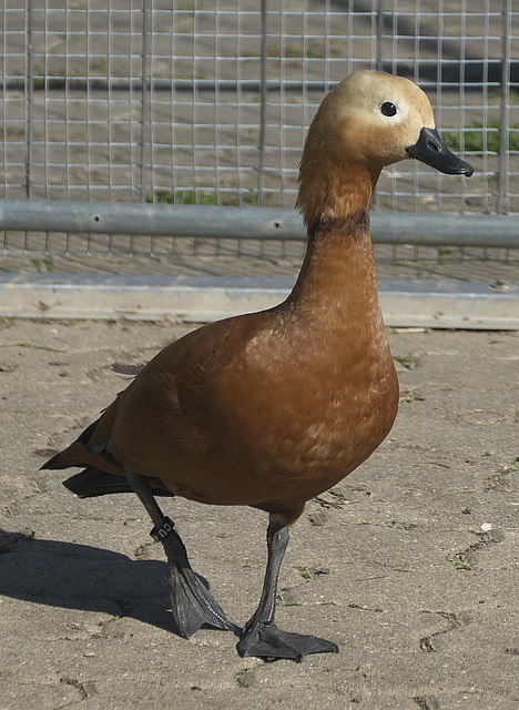 还是对团队