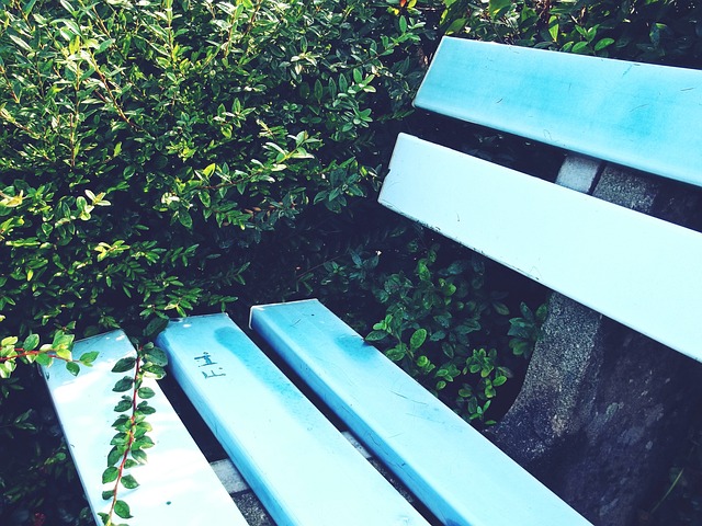 分排名无法 分排名无法