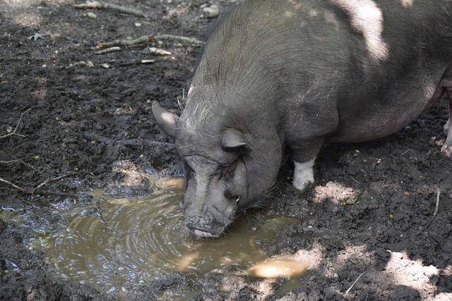 敢做敢说！吴艳妮：全国纪录是我的，未来还有惊喜.