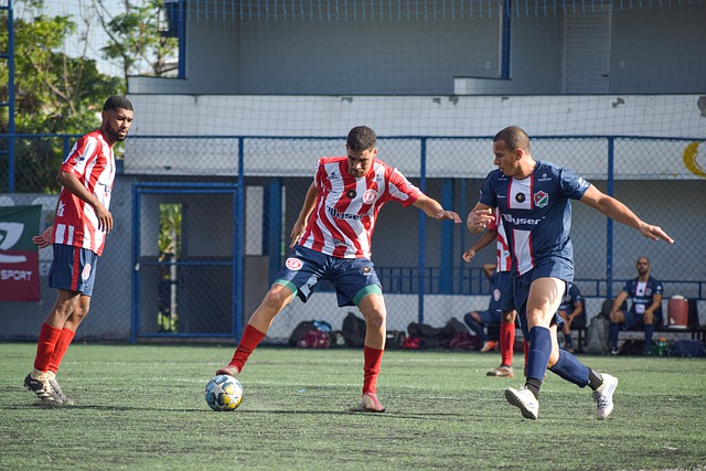 这不仅是为 这不仅是为